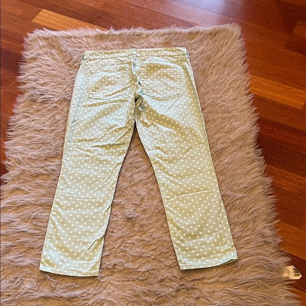 Jcrew Polka Dot Mint Green And White Cropped‎ Matchstick Jeans
